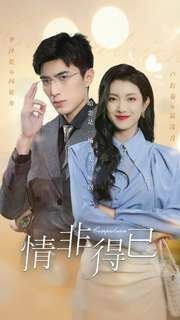 情非得已 第21-40集