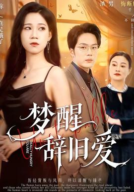 梦醒辞旧爱(全集)